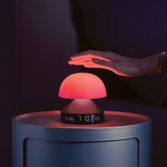 ���������� � ������ � �������� ����������� Mina Sunrise