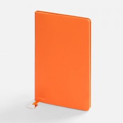 ���������� Shall Light, ��������������, ���������