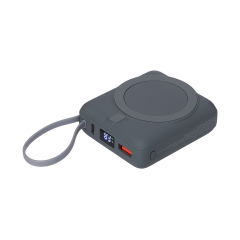     Ritter PD 10000mAh     15W, 