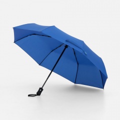 ���� �������� Monsoon, ����-�����