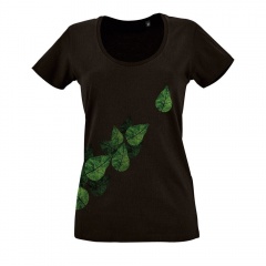   Evergreen Leaves