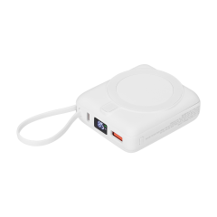     Ritter PD 10000mAh     15W, 