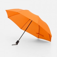 ���� �������� Rain Spell, ���������