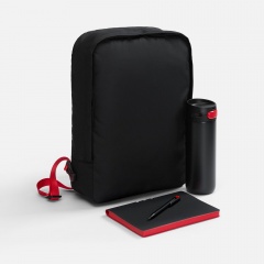 ����� Flexpen Travel, ������ � �������