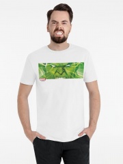  Hulk Energy, 