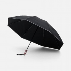 ���� �������� �������� Futurum, ������