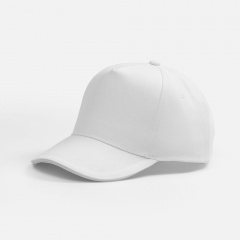 ��������� Classic 2.0, �����