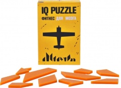  IQ Puzzle, 