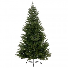   Ms.Tree, 210 