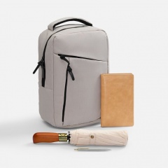 ����� Remini Travel, �������