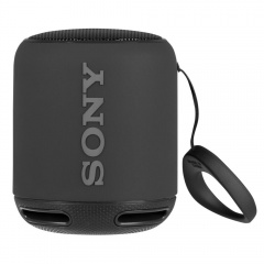   Sony SRS-10, 