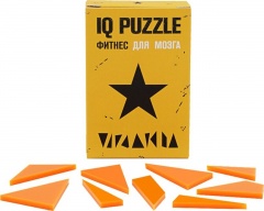  IQ Puzzle, 