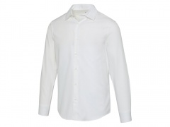 ������� Citrine, �������