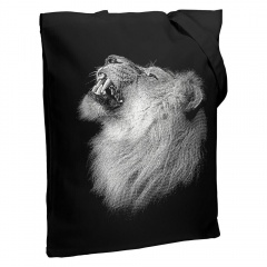   Like a Lion, 