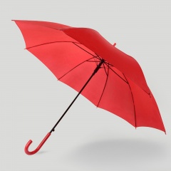 ����-������ �������