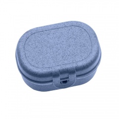  Pascal Mini, 