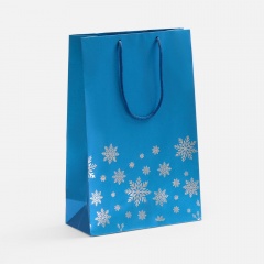  Wintry, 
