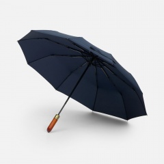   Cloudburst   , -