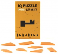  IQ Puzzle, 