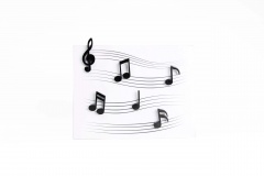  MEMODY MAGNET (6 . / .), 