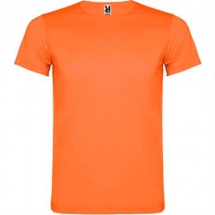  AKITA ,   2XL