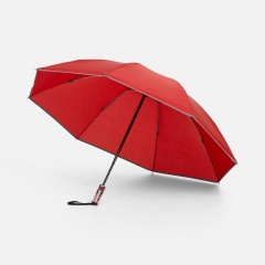 ���� �������� �������� Futurum, �������