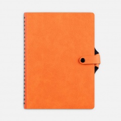 ���������� Strep Front, ��������������, ���������