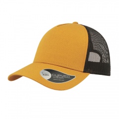  "RAPPER COTTON", 5 , /, . ., 100% , 100% /, 180 /2
