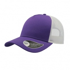  "RAPPER COTTON", 5 , /,  ., 100% ,100% /,180 /2