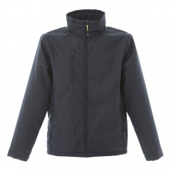  Aberdeen, -_2XL, 100% , 220 /2