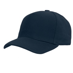  "Boston", 5 ,  ;  ; 100% ; 350 /2