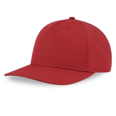  "RAY-S", 5 ,   , , 100 % , 106 /2