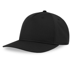  "RAY-S", 5 ,   , , 100 % , 106  /2