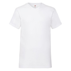  "Valueweight V-Neck T", _L, 100% /, 160 /2
