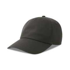 ��������� "DAD HAT-S FIVE", 5 �������, ������������� ��������, ����-�����, 80% ������������ ������, 20% �������������� ������, 270 �/�2
