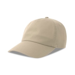 ��������� "DAD HAT-S FIVE", 5 �������, ������������� ��������, ��������, 80% ������������ ������, 20% �������������� ������, 270 �/�2