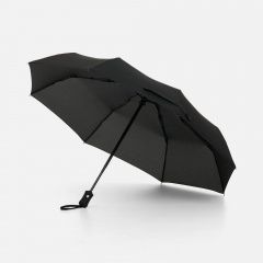 ���� �������� Monsoon, ������