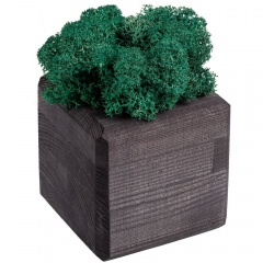   GreenBox Black Cube, 