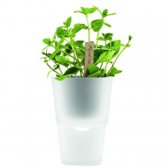       Flowerpot, , 