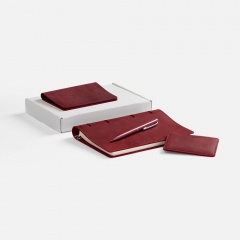 ����� inStream Maxi, �������