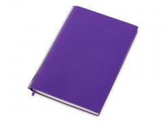 5 Scribe
