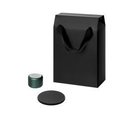 Подарочный набор Passion, Auris, зеленый (колонка, зарядное устройство)