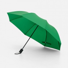 ���� �������� Rain Spell, �������