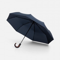 ���� Palermo, �����-�����