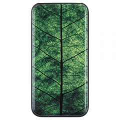   Evergreen, 10 000 A