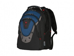  Ibex     17