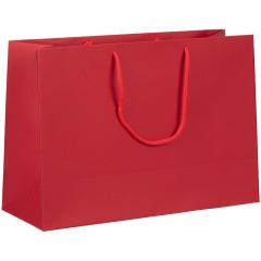   Ample Plus M, 