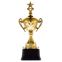  Top Star, 
