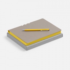 ����� Flexpen, ����������-������