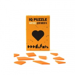  IQ Puzzle, 